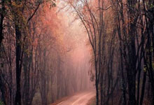 开云体育：[乒乓球]世乒联冠军赛重庆站：孙颖莎VS杜凯琹 集锦.