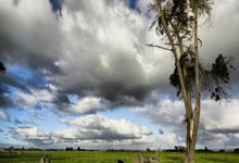 给建议了？欧国联官推：C罗与科斯塔耳语，随后后者扑出点球.