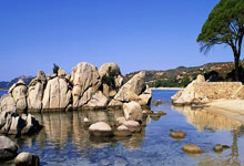 凯斯2-1淘汰莱巴金娜 携九连胜重返澳网女单八强.